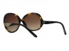 Just Cavalli 318 JC318S 52F Tortoise Sunglasses